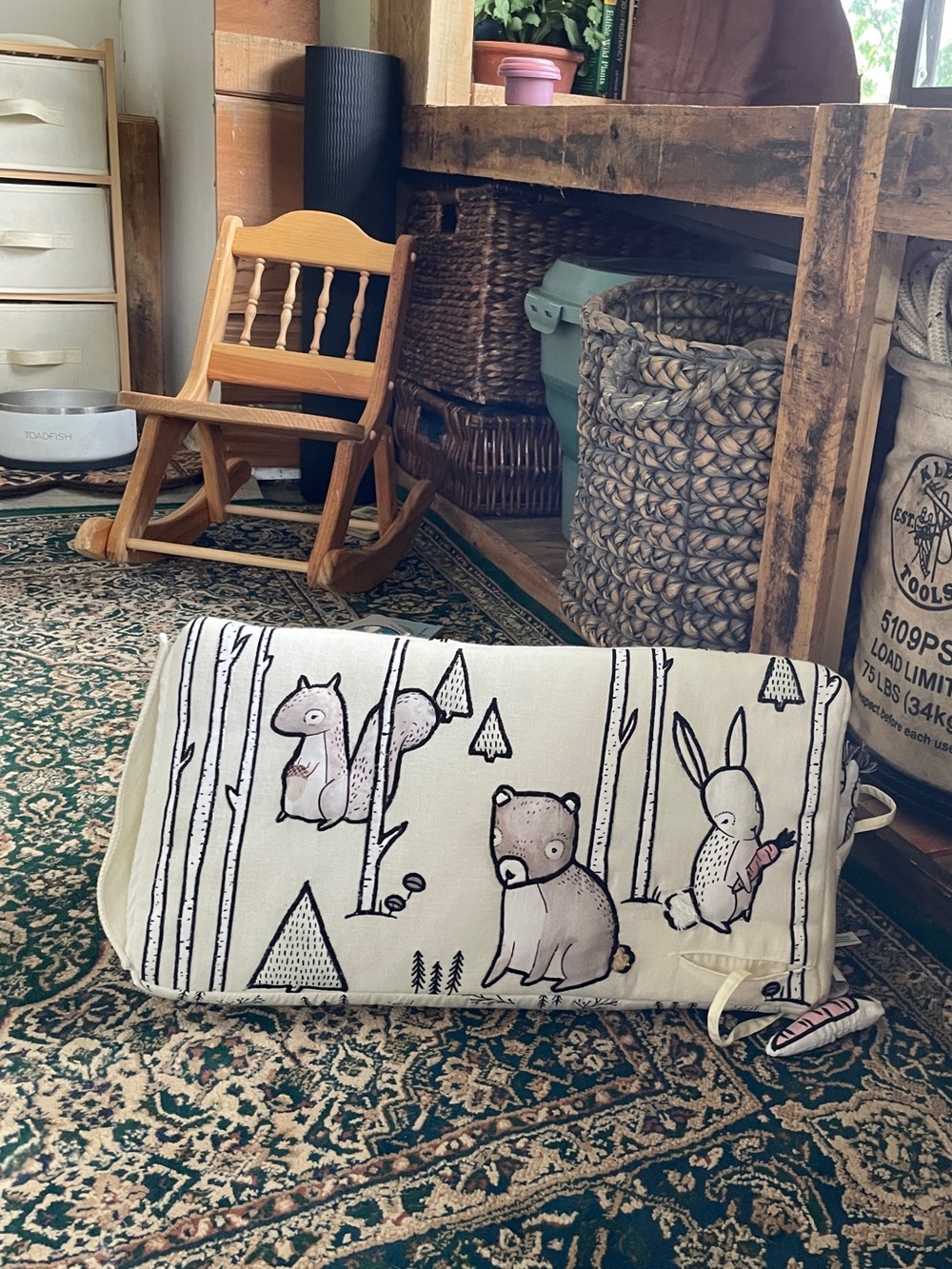 Crate&Barrel Woodland Animal Activity Pillow